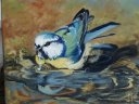 Mésange