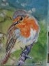 Rouge-gorge
