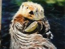 Loutre et son Coquillage