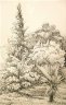 Nans-les-Pins.Arbres.