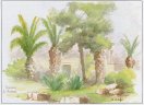 Thermes d' Antonin