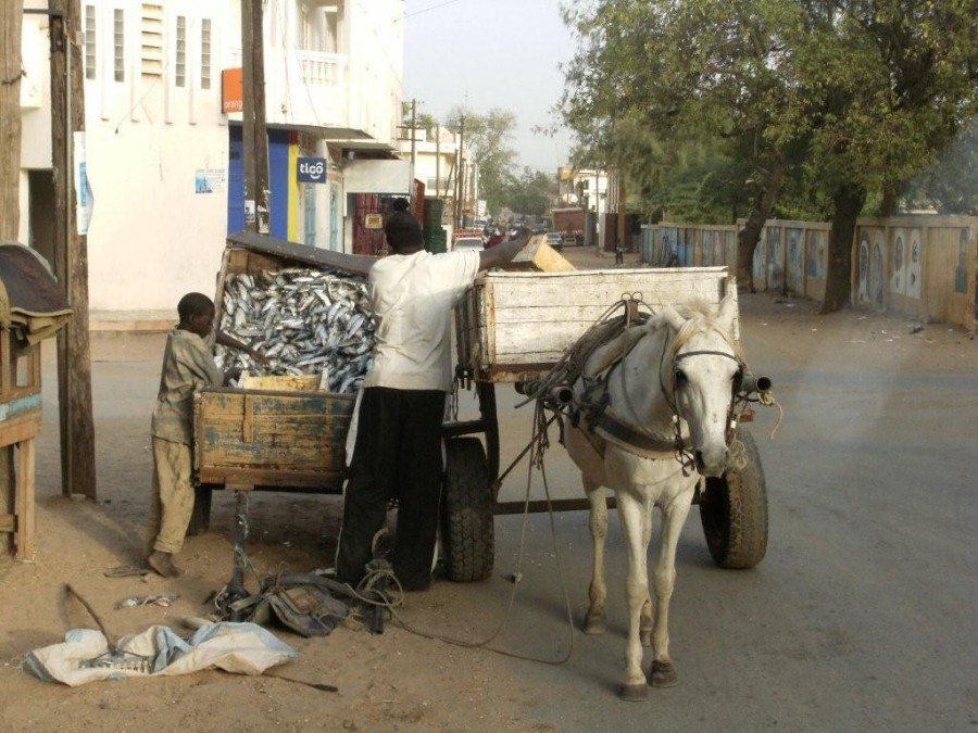 1-Village Mbtoum.jpg
