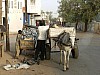 1-Village Mbtoum.jpg