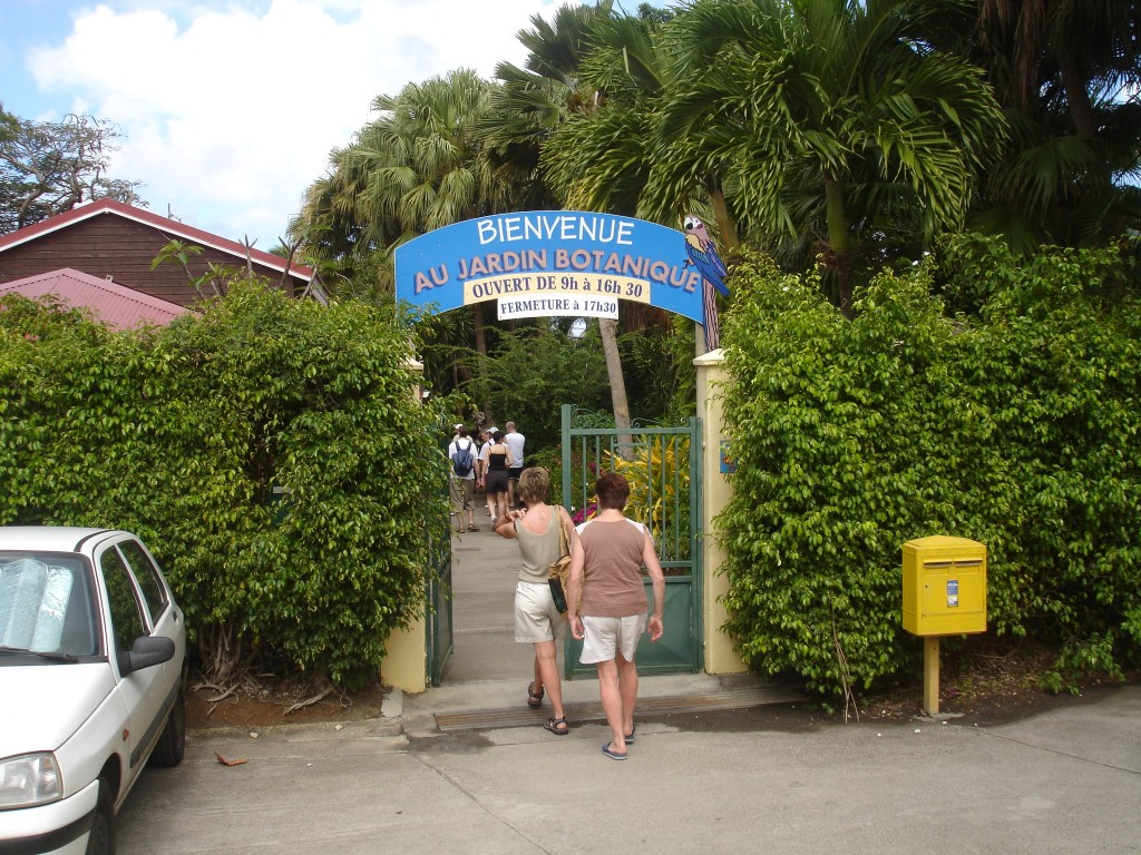 DSC02651.jpg