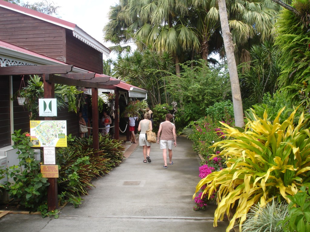 DSC02652.jpg
