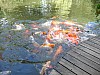 DSC02659.jpg