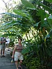 DSC02664.jpg