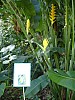 DSC02665.jpg