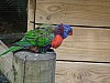 DSC02669.jpg