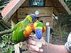 DSC02678.jpg