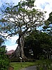 DSC02691.jpg