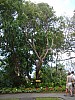 DSC02694.jpg