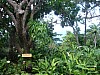 DSC02695.jpg