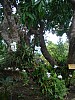 DSC02696.jpg