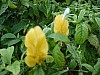 DSC02701.jpg