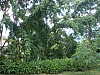 DSC02702.jpg