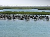 10-Greniers a mil.jpg