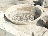 19-Joal secherie.jpg