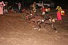 5-Danseurs senegalais.jpg