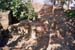 carthage01