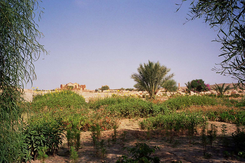 sbeitla01